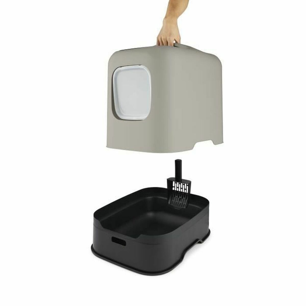 Cat Litter Box Rotho My Pet CAPUCCINO Plastic